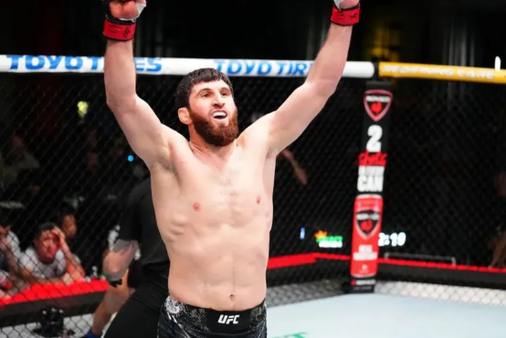 Magomedov bantah menolak bertarung perebutkan gelar juara UFC